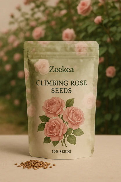 Climbing Rose Seeds – Grow Vertical Blooms at Home (Plant Growth Supplement Free)