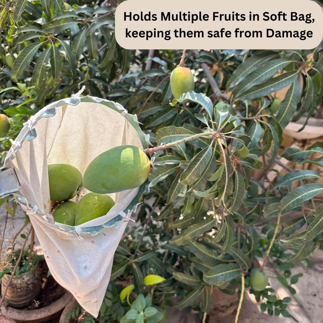 Fruit Picking Tool With Storage Bag