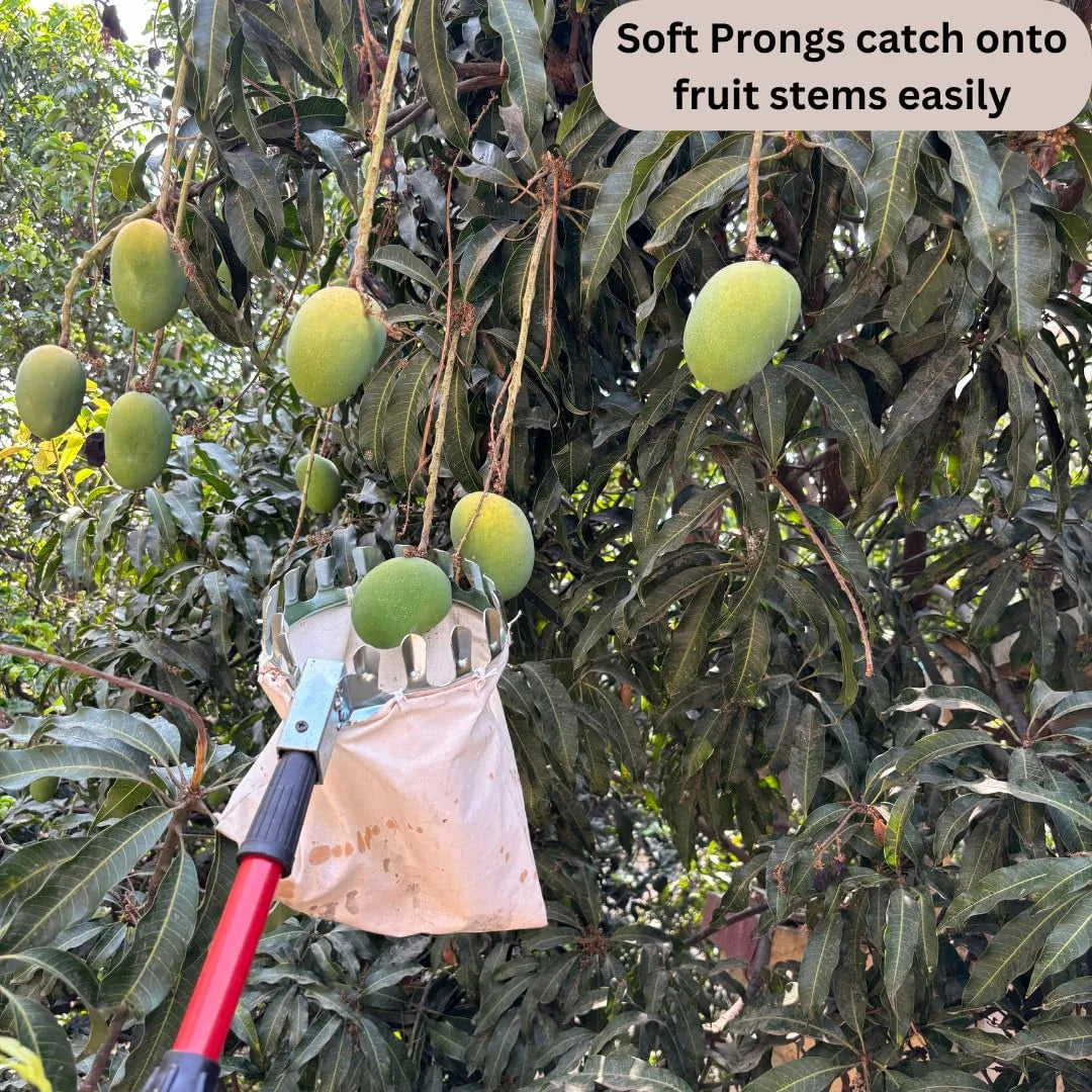 Fruit Picking Tool With Storage Bag